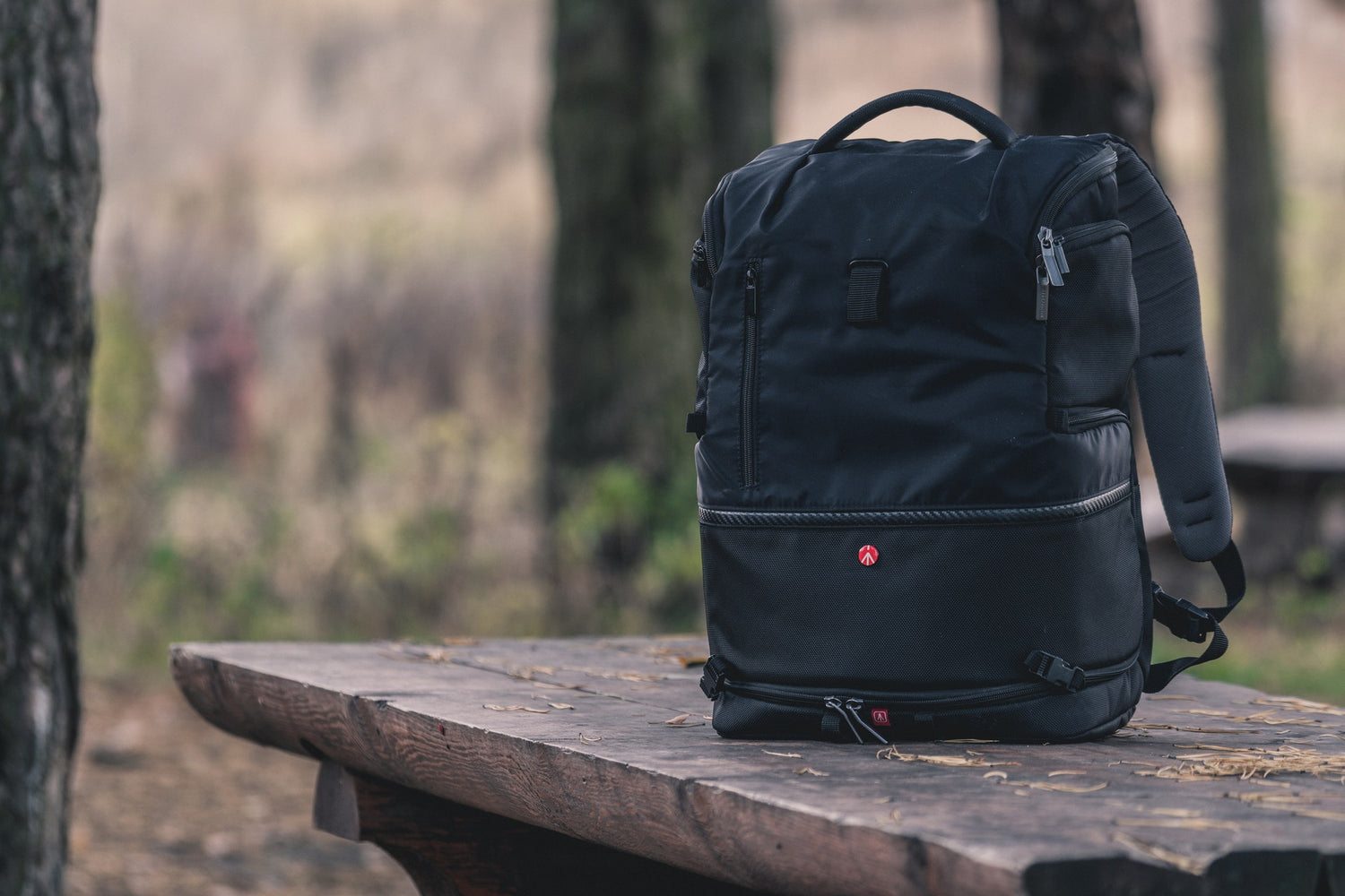 Backpacks & Travel Accessories